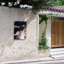 피엘 카카오 검색결과