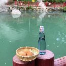 개동(남)경로식당 | [일본여행] 후쿠오카 버스투어 라쿠투어 후기, 레아김 가이드 추천