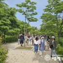 명덕초교병설유치원 이미지