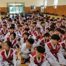 서오태권도 이미지