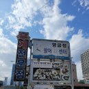 영금정활어회센터 이미지