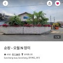 오월N장미
