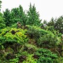 우화 목장 이미지