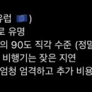라이언 피치