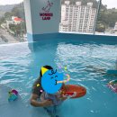 원더랜드어린이집 | 커제 키즈풀빌라 원더랜드 숙박 후기