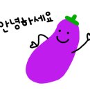 하이발리테니스 이미지