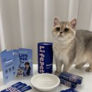 펫라이프 | 고양이 신장&amp;비뇨계에 좋은 라이프펫 유리나리 급여 후기