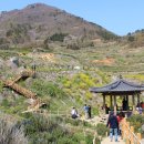 남해-137 이미지