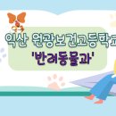 원광보건고등학교 이미지