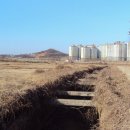 부영식당 이미지