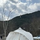 경북 애견동반캠핑장 청도 벨캠핑장 이팝나무 15번 후기