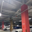 이동수골프 - 청주시 청원구 과학산업2로 432 | [다산신도시] KLPGA 프로 출신 무속인? 명서신당 점사 후기: 디즈니+ '운명전쟁 49' 보고 다녀온 솔직 리뷰