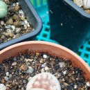 아이꽃 - 안양시 동안구 갈산로 49 | 아이꽃