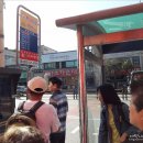 대풍농약종묘사 이미지