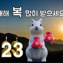 2023-0102 이미지
