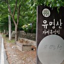 유명산자연휴양림 이미지