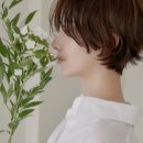 제이지안
