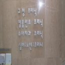 스카이키즈치과의원 이미지