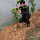 이순희농장 이미지