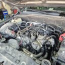 경성스포츠 이미지