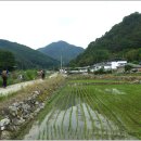 금봉리마을회관 이미지