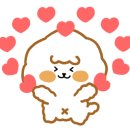 아이데코 전대점 이미지