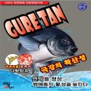 태공피싱