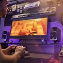 필립스(백합) 이미지