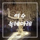 옥탑미디어 | 여행 추천] 여수실내가볼만한곳!! 아이와 함께 여수여행!!인생 사진 맛집!! 여수 녹테마레 방문 솔직 후기