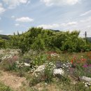 계룡산축산