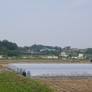 SH토지보상행정사사무소 이미지