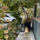 로우커피스탠드(Raw Coffee Stand) 이미지