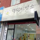 댕댕이발소 | 광주 봉선동애견미용 댕댕이발소