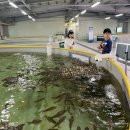 일반산업단지(후문)-우 | 충북아쿠아리움 가성비 맛집 추천 어린이 메뉴가 알찬 돌다리