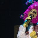 팀코스모스