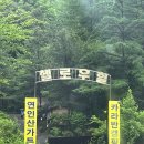 헬로우힐연인산캠핑장 - 1047 | 헬로우힐연인산캠핑장