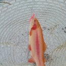 송현낚시터 이미지