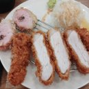 카츠올로지