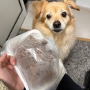 땡겨PC | 인생이 어떤 골질을 해도 그냥 예예 조아리고 웃자 그래 **