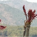 내동농장 이미지