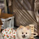 드림랜드오토캠핑장 이미지