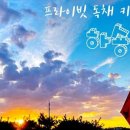캠핑놀이터