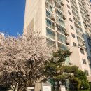 꼬맹이김밥 | 오전동 맛집 우주최강김밥 안양 김밥 맛집에서 만난 특별한 삼겹살김밥 후기🚀