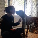 공개농장 이미지