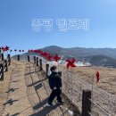 연실농장 | 증평 벨포레리조트 아이랑가기좋은곳 충북 벨포레목장