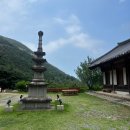 삼화동주민센터 | 여자 혼자 템플스테이 2박3일 강원도 동해 삼화사 휴식형 후기(1일차)