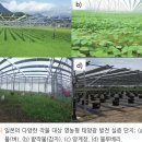 덕산영농조합법인(덕산영농조합법인2 태양광발전소) | 영농형 태양광, 농가 소득 발전 수익 두 마리 토끼 법적 난관 극복이 미래를 결정한다