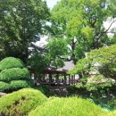 호흡과명상 이미지