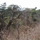 이제산성