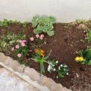 봉평동사무소 이미지